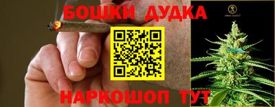 ПСИЛОЦИБИНОВЫЕ ГРИБЫ Камышлов