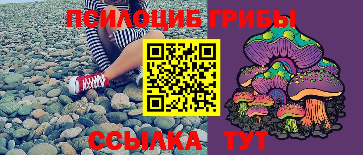 Шебекино  Псилоцибиновые грибы GOLDEN TEACHER  Вход с VPN 